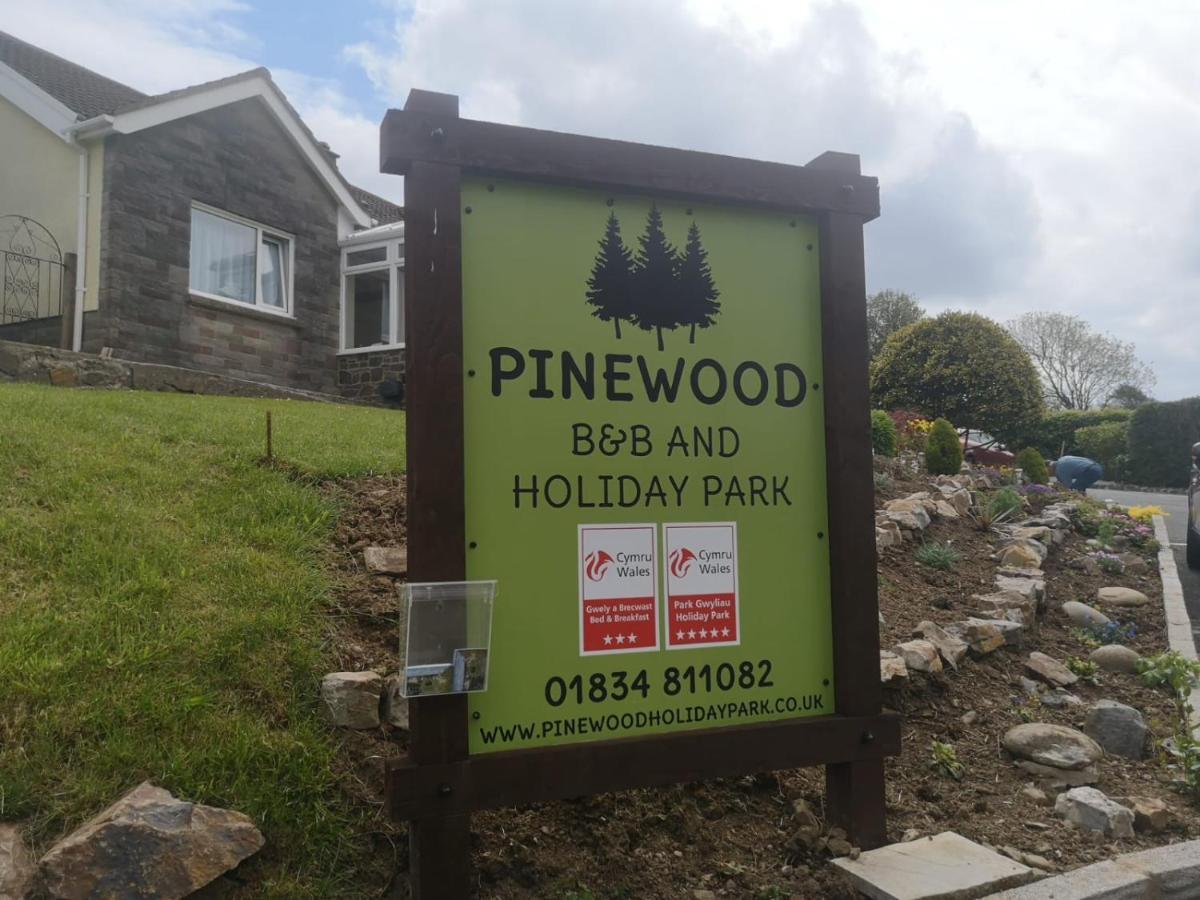 Pinewood B&B Saundersfoot Esterno foto